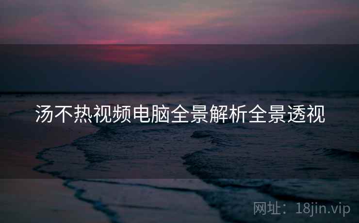 汤不热视频电脑全景解析全景透视