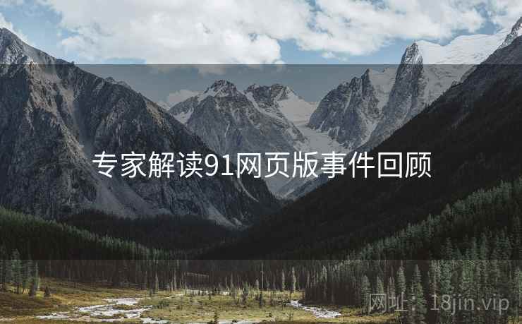 专家解读91网页版事件回顾