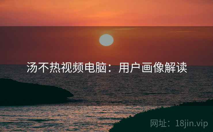 汤不热视频电脑：用户画像解读
